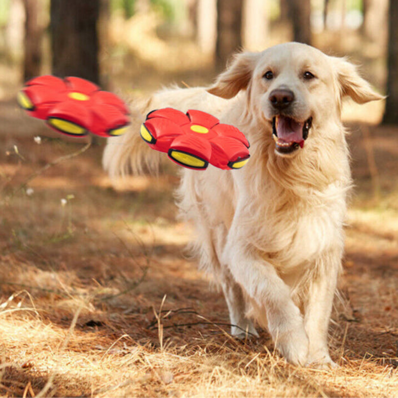 [COMPRE 1 LEVE 2] PetBall® Bola Voadora para Cães